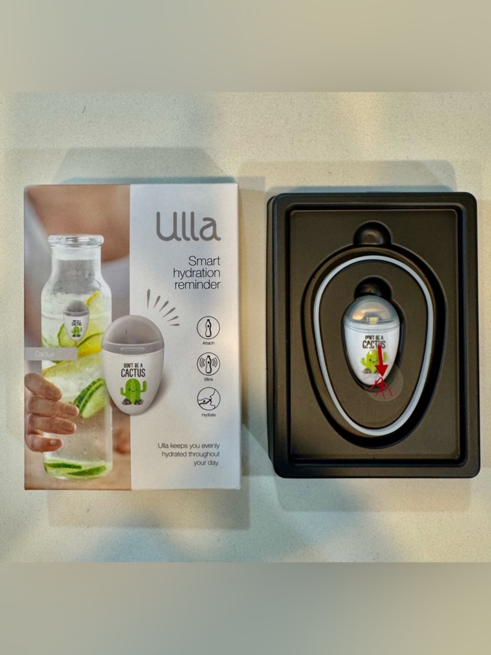 💕 ULLA Smart Hydration Reminder_White and Cactus Design_NWT 💕